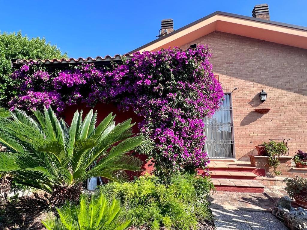 B&B La Casa Di Era Porto San Giorgio Buitenkant foto